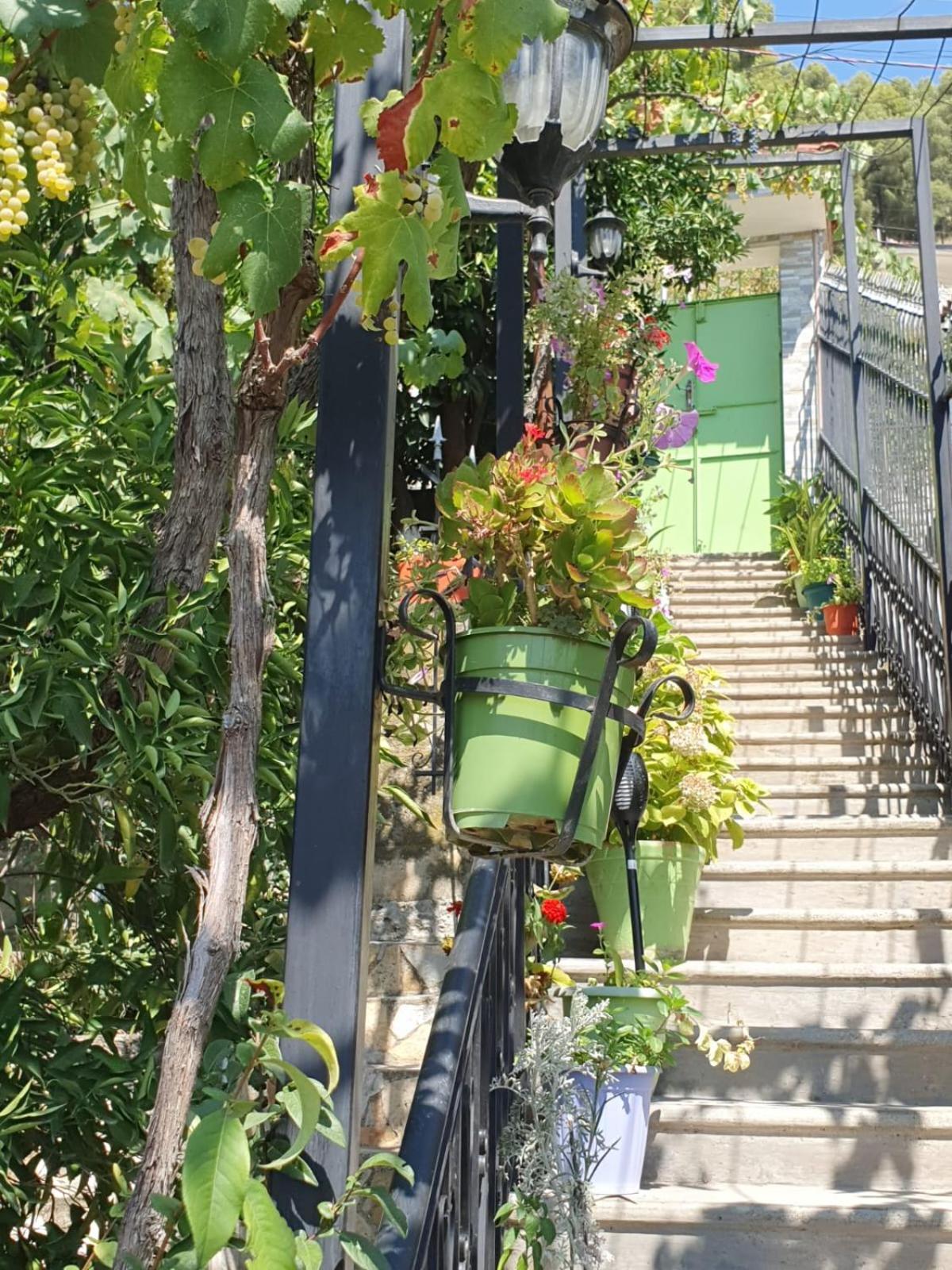 Sara Guesthouse بيرات المظهر الخارجي الصورة