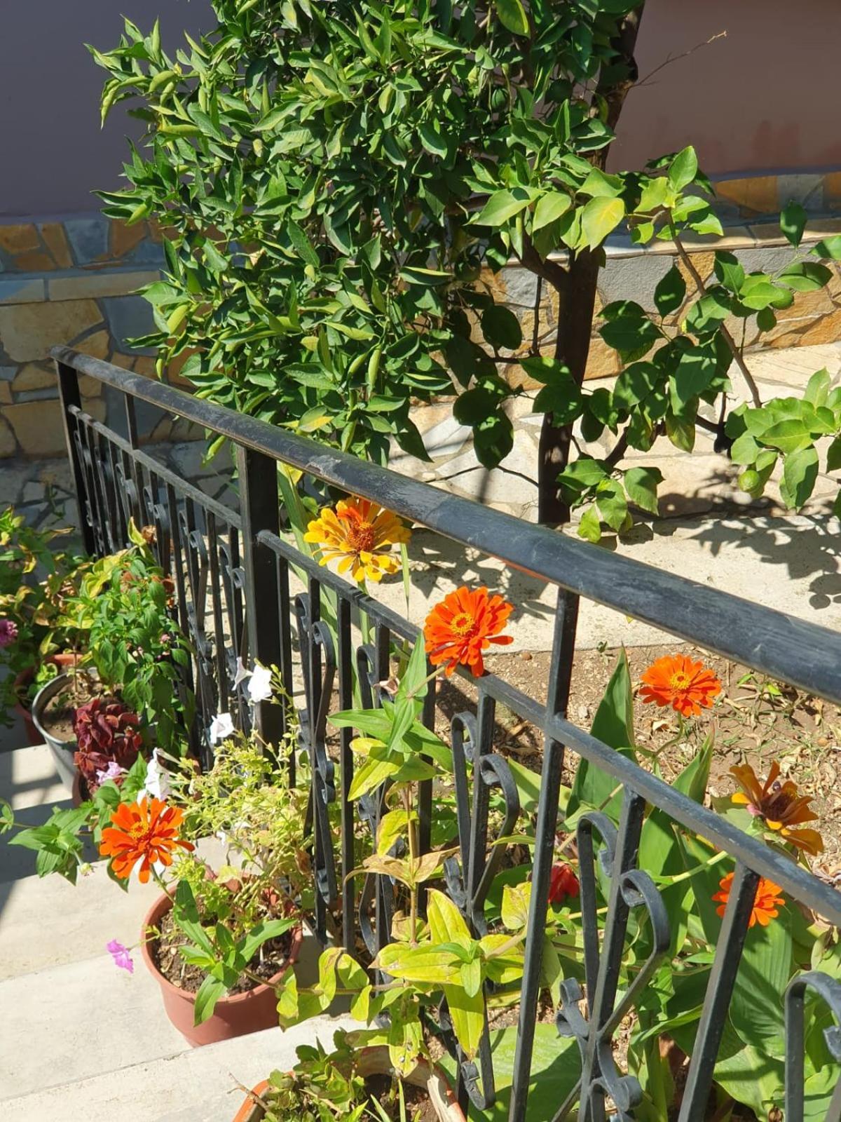 Sara Guesthouse بيرات المظهر الخارجي الصورة