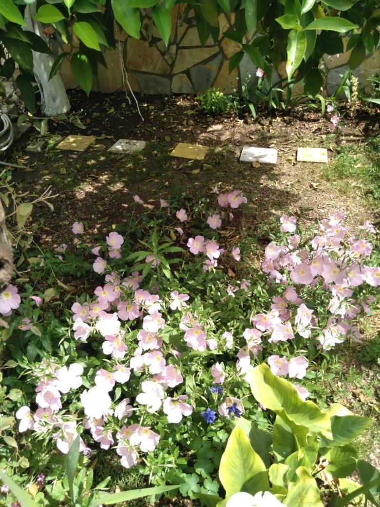 Sara Guesthouse بيرات المظهر الخارجي الصورة